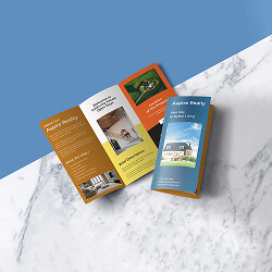 brochures